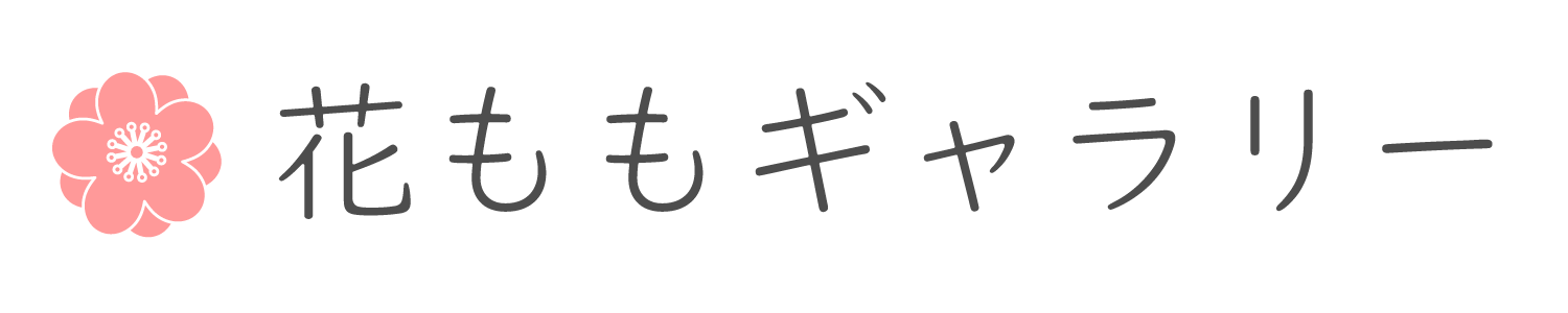 花ももギャラリー